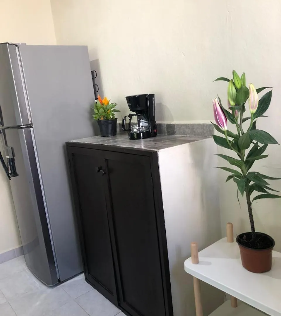 Lovely Apartment In Playa Playa del Carmen