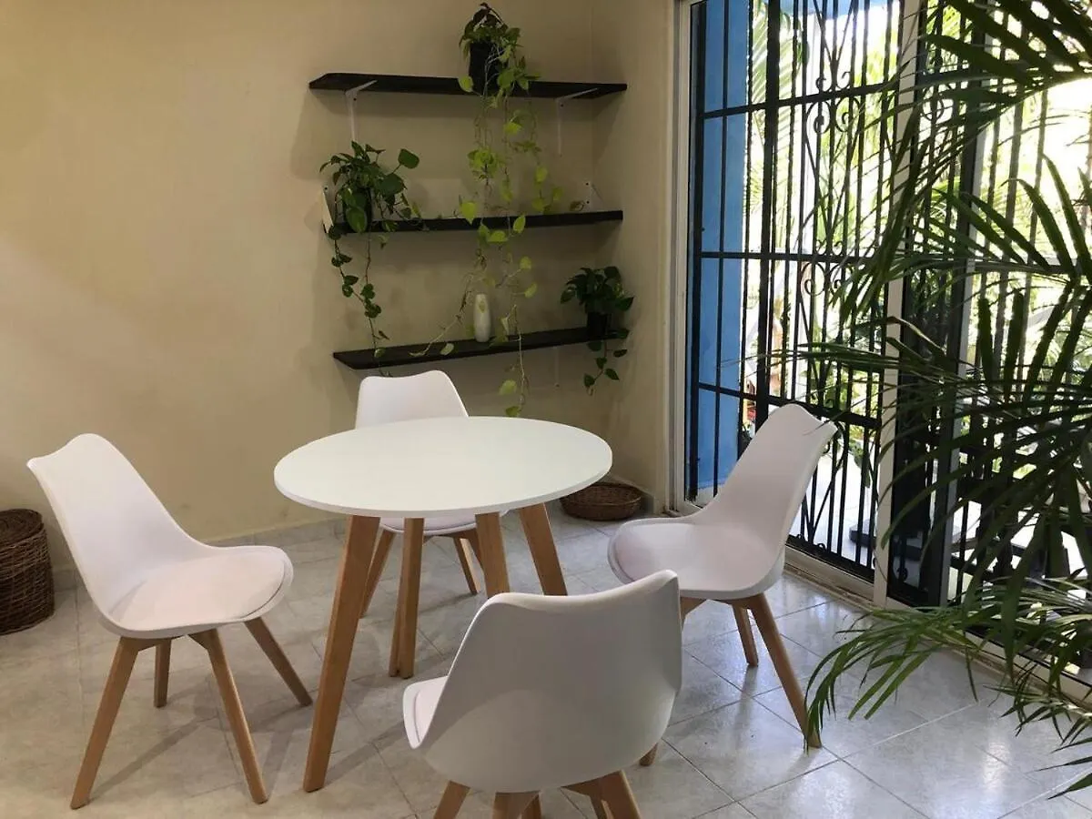 Lovely Apartment In Playa Playa del Carmen