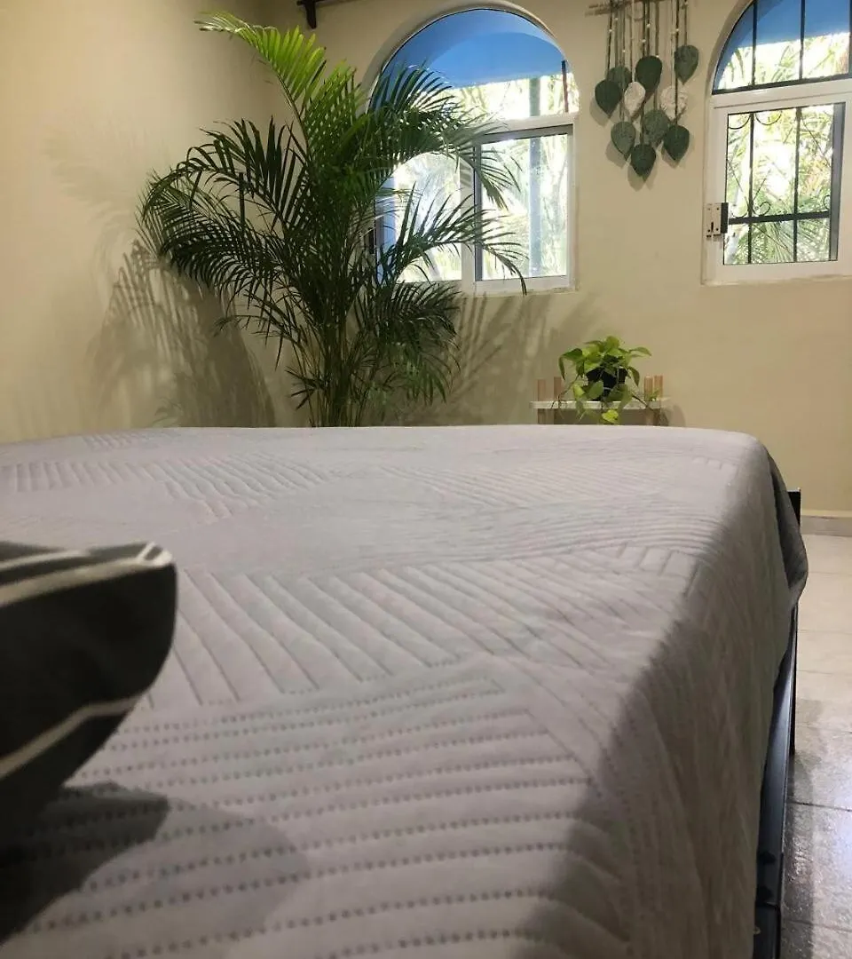 Lovely Apartment In Playa Playa del Carmen