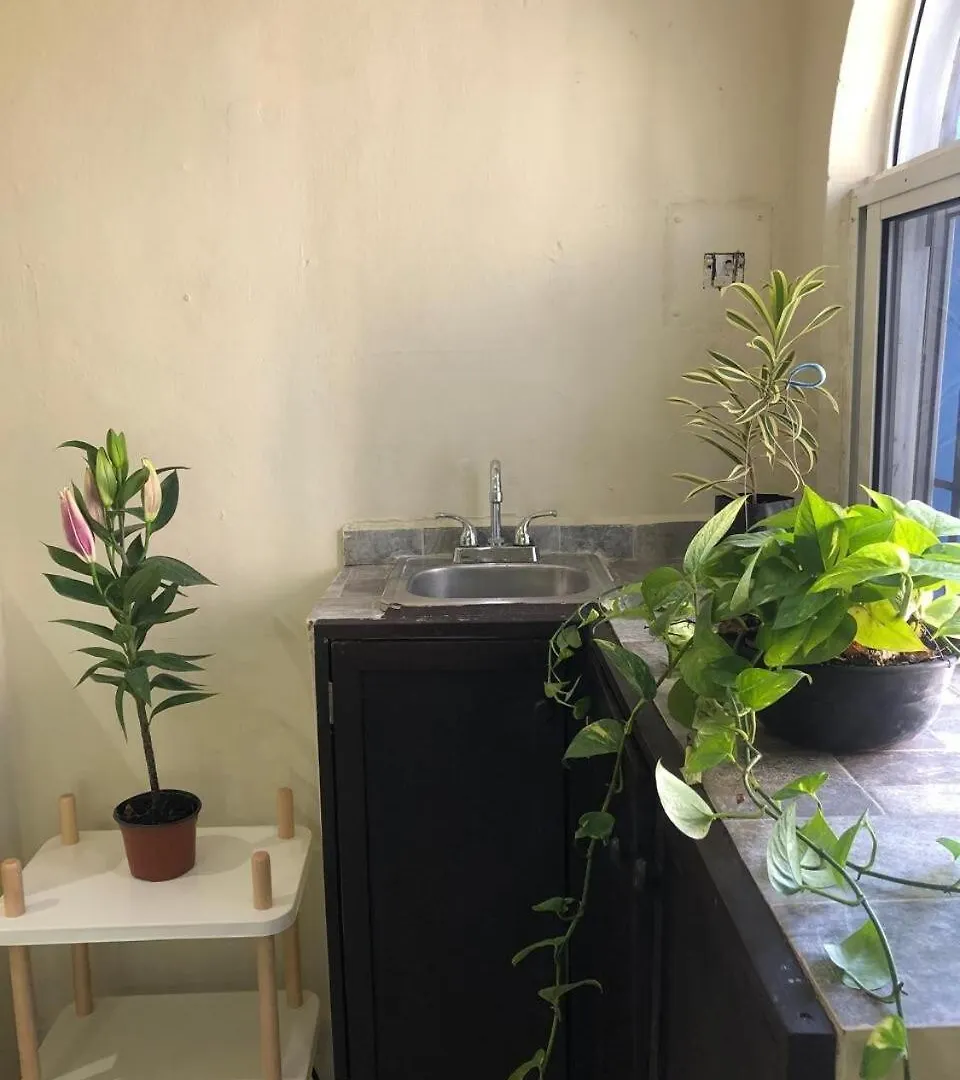 Lovely Apartment In Playa Playa del Carmen